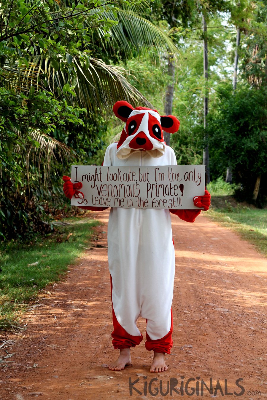 Image of The Bengal Slow Loris