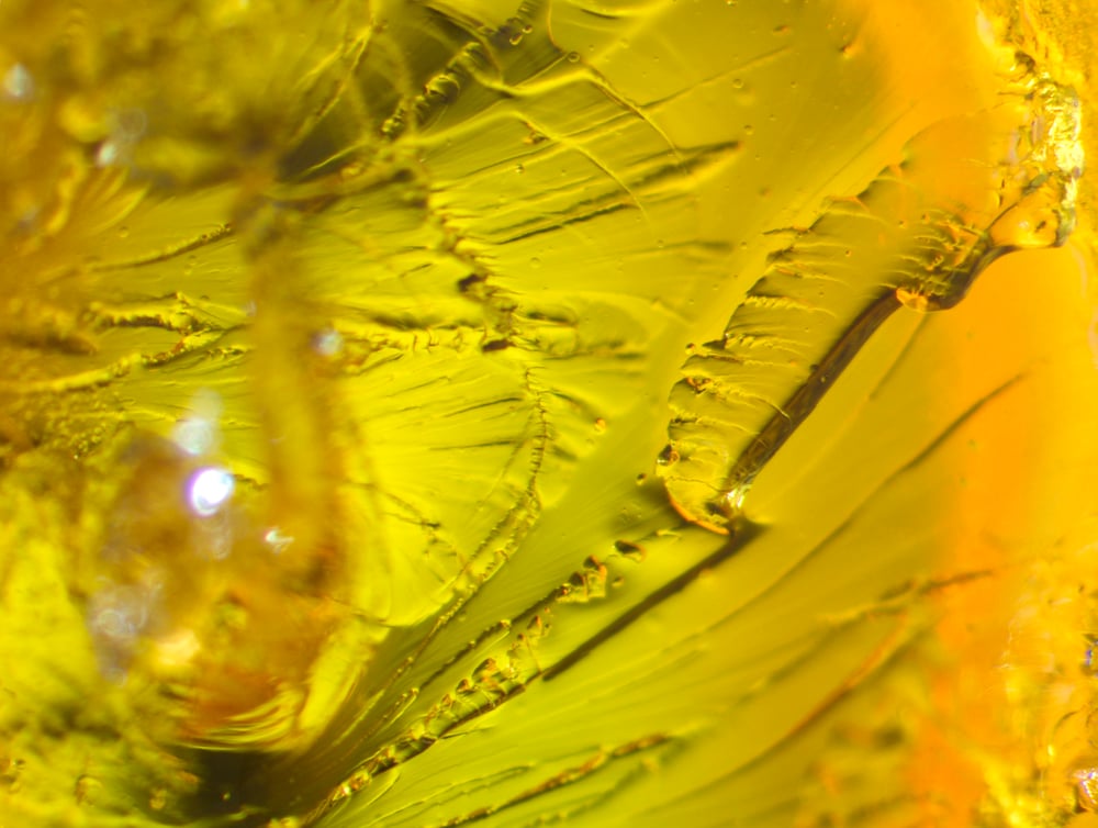 Image of Gummy Worm (Yellow)