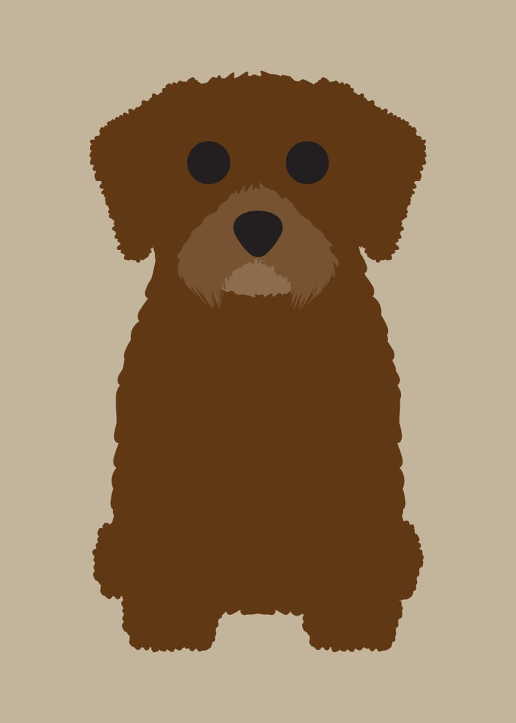 Havanese Collection