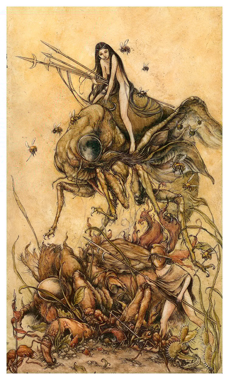 Image of Metamorphosis