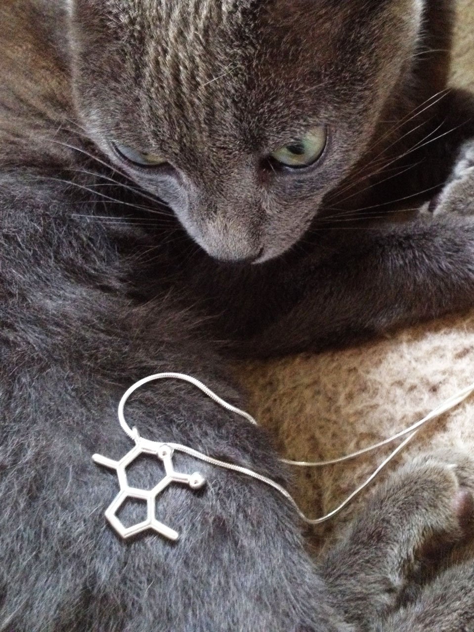 Image of catnip necklace