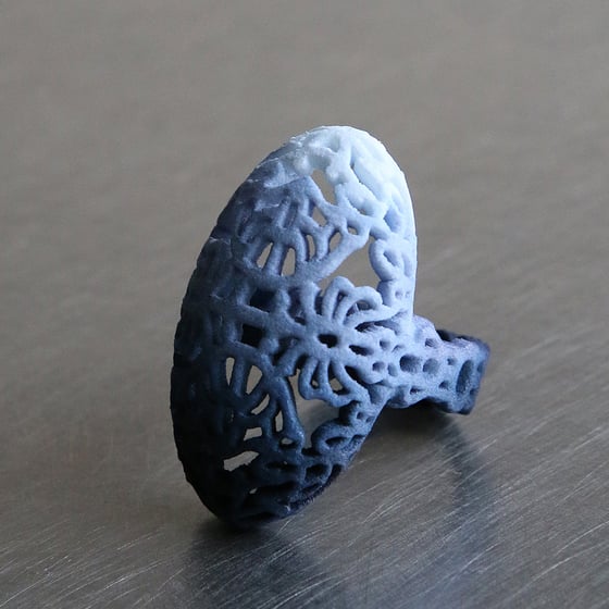 Image of 3D printed rings Delft Blue 