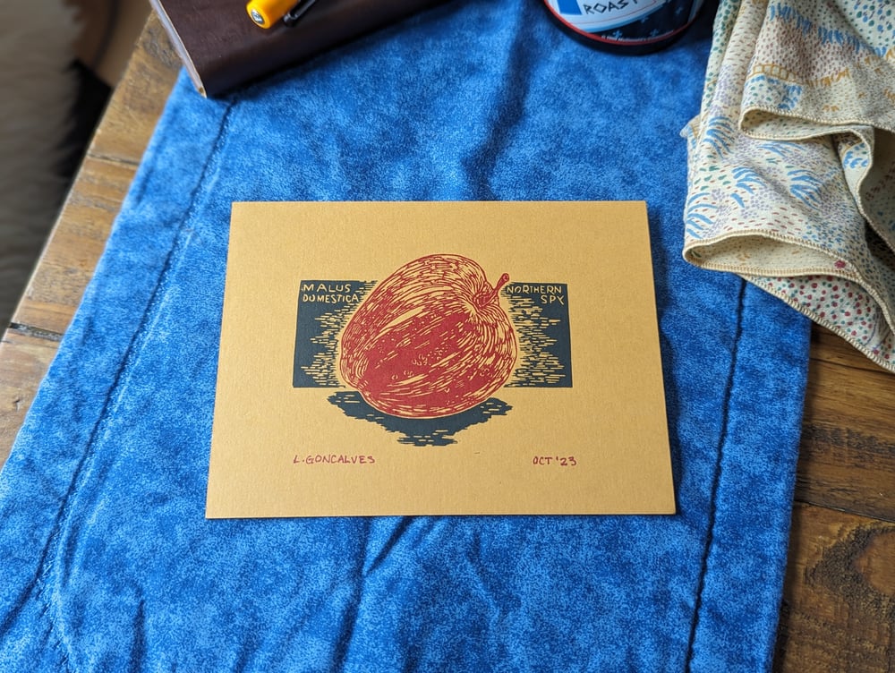 Image of Northern Spy Print