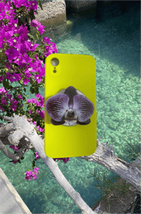 Purple & White Orchid Phone Grip