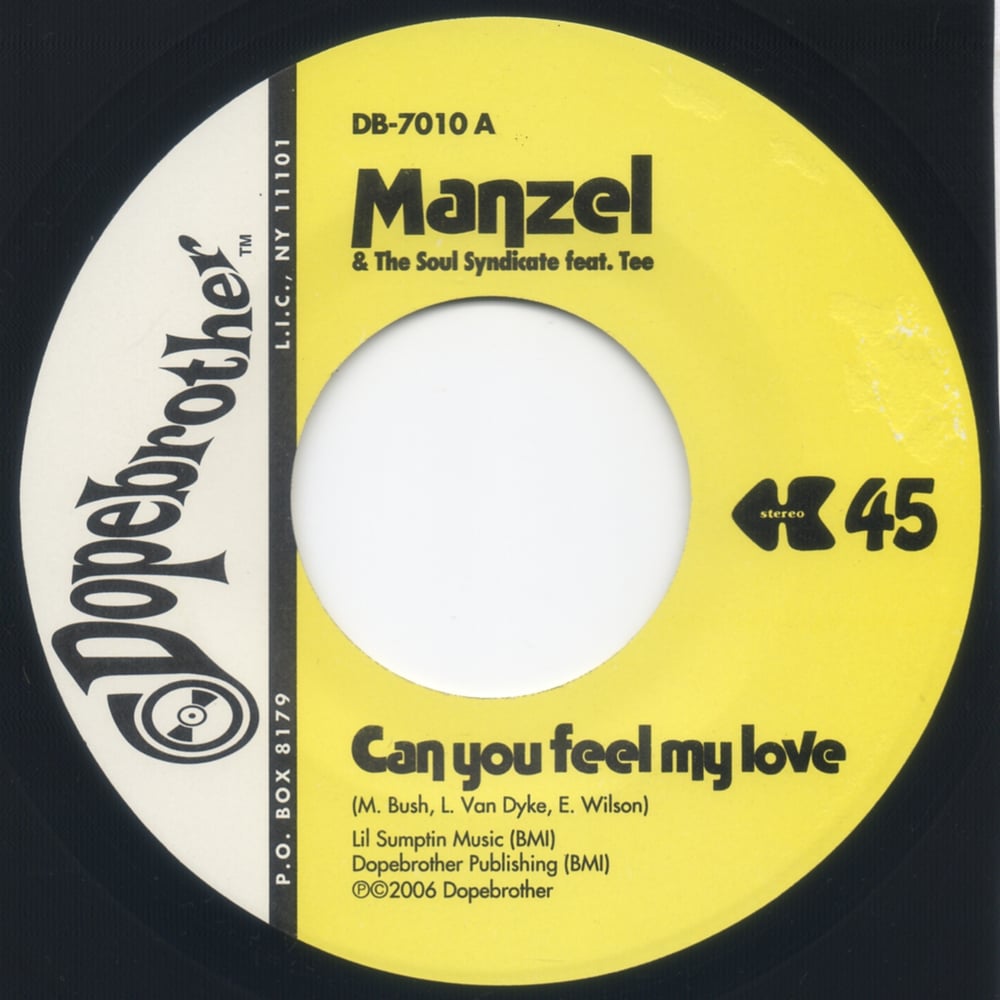 Image of Can You Feel My Love (Stereo/Mono) - 7"