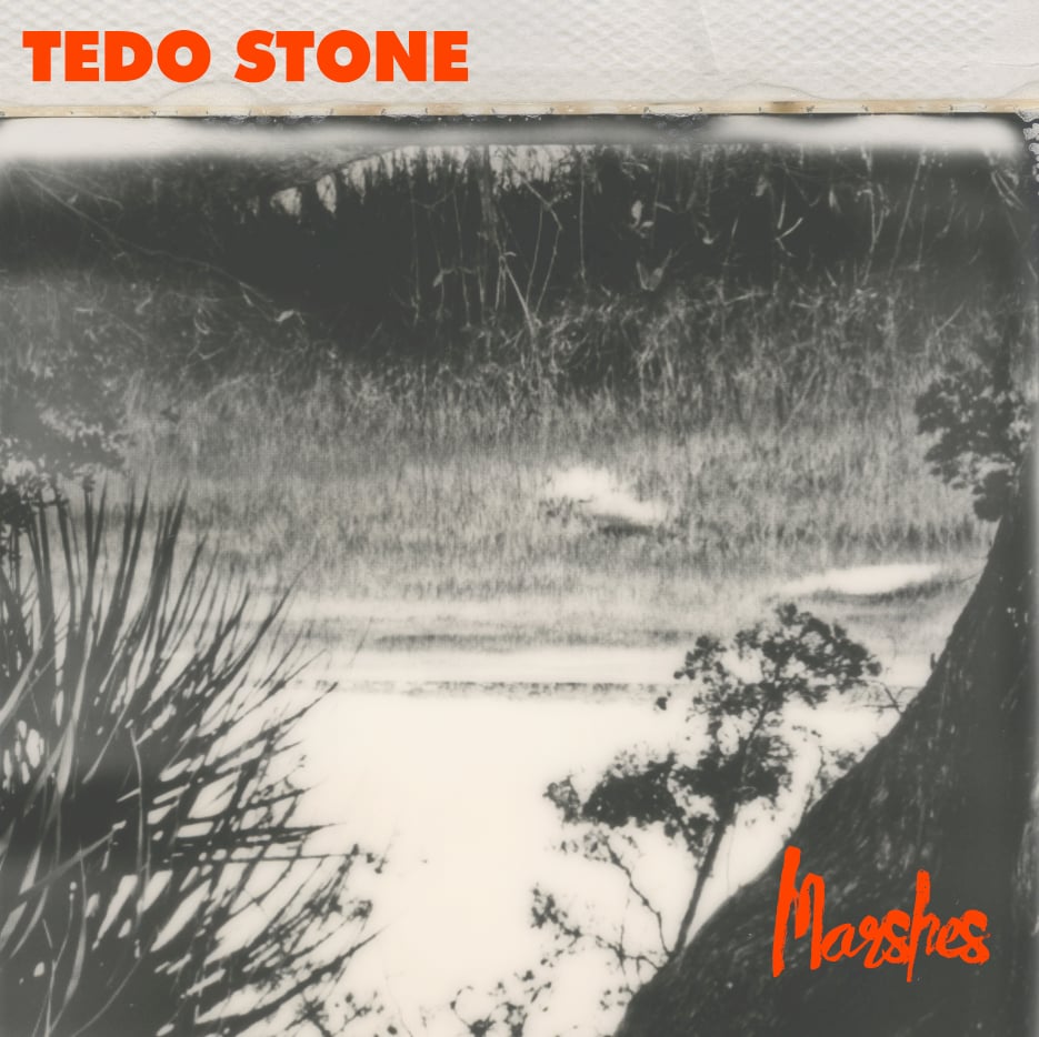 Image of Tedo Stone - Marshes {RED LP}