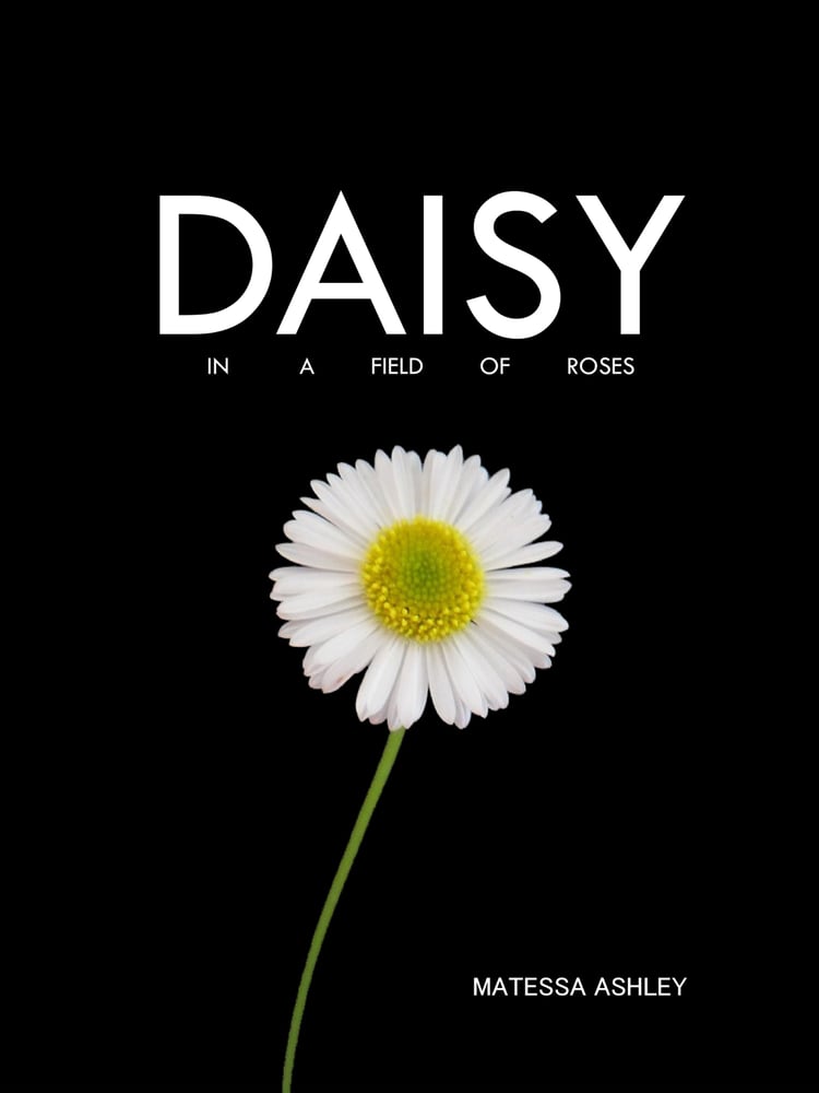 Image of Daisy in a Field of Roses
