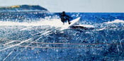 Image of Polzeath Surfer, Carving the Lip