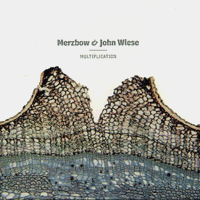 Image of Merzbow & John Wiese "Multiplication" CD