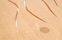 Image 2 of WAVE Table Duo