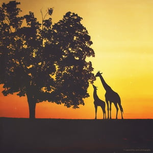 Image of Giraffe Silhouette Overlay 