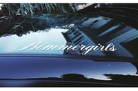 Image 2 of Mini Bimmer Girls Banner