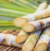 Image 1 of Sugar Cane 