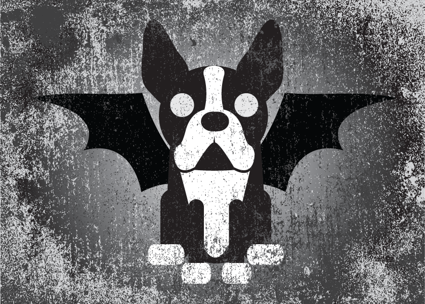 Boston Terrier Collection