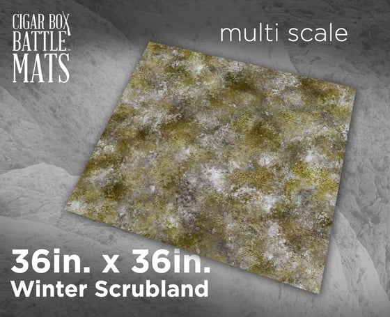 Image of Winter Scrubland -- 3x3 -- #192
