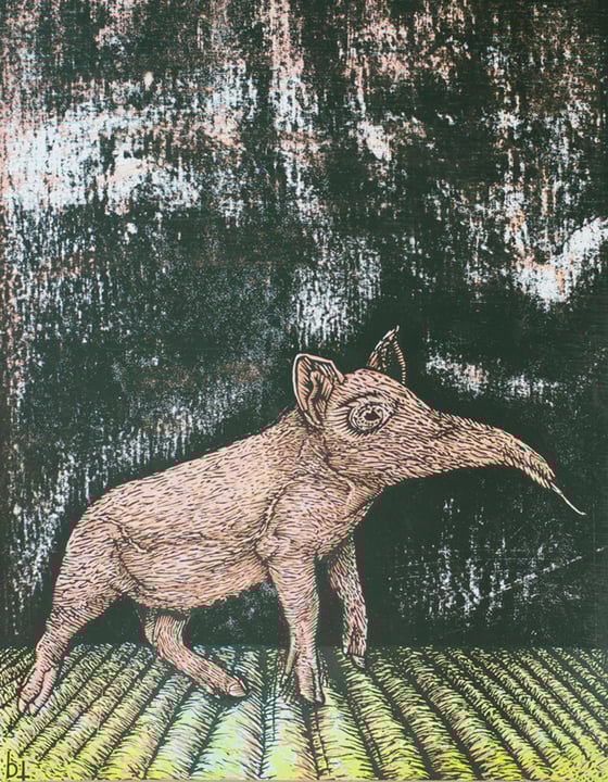 Image of Anteater Pig