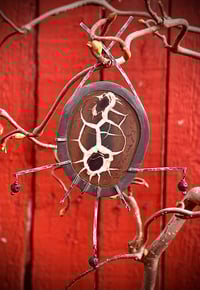 Image 2 of Extensions:  Nature's Talisman III