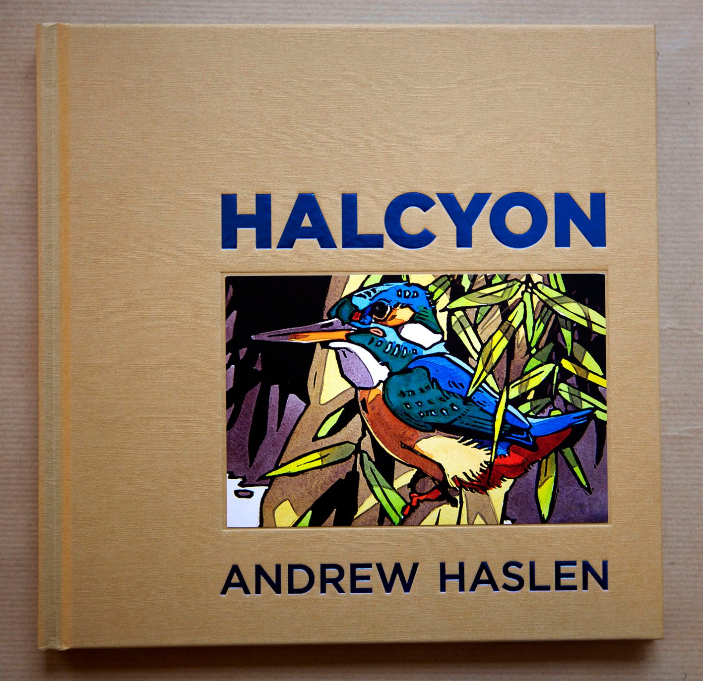 Image of Halcyon by Andrew Haslen