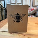 Image 3 of Insect notebooks