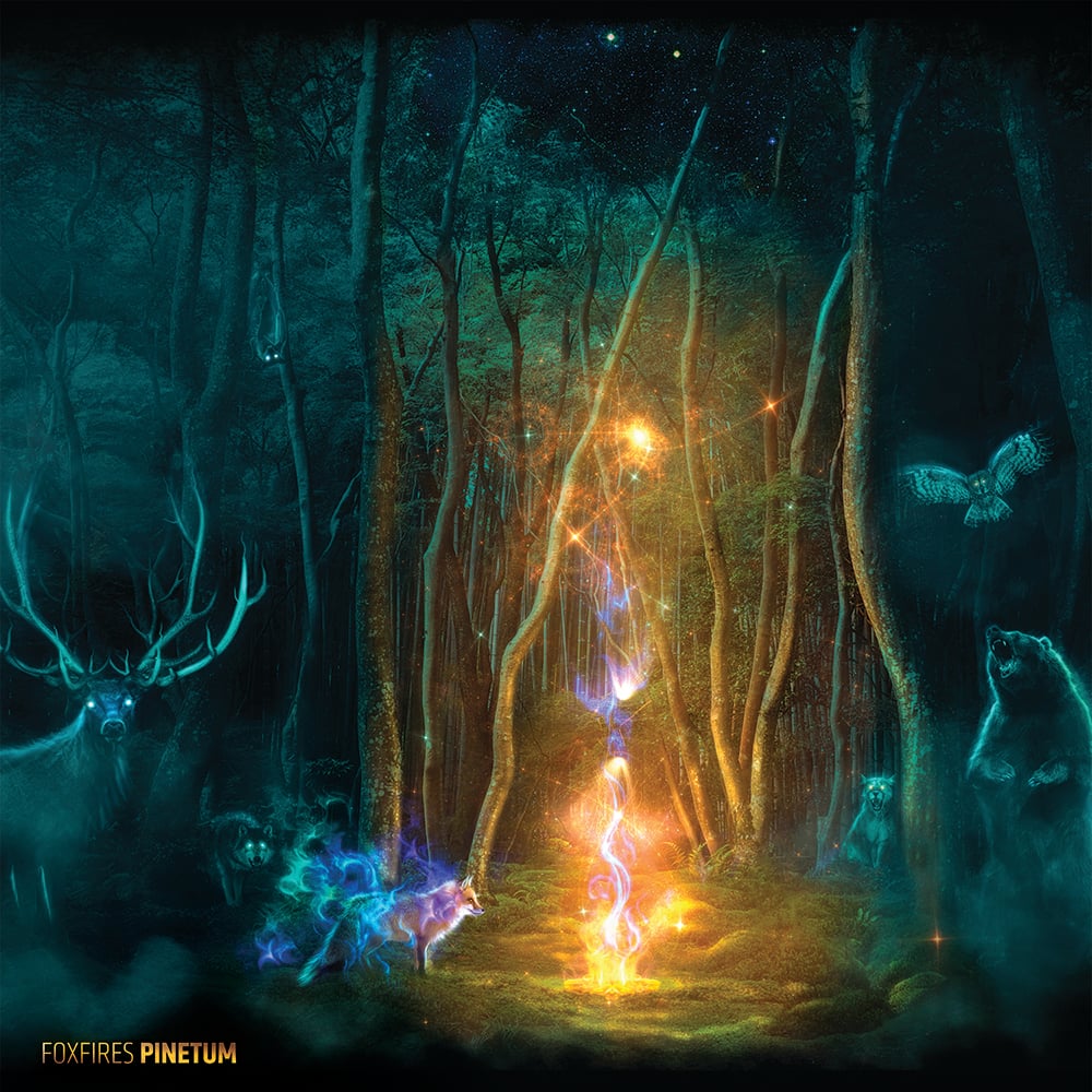 Image of Foxfires - Pinetum 12" LP