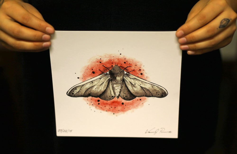 Image of Peppered Moth