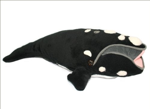 Right Whale Plush Toy