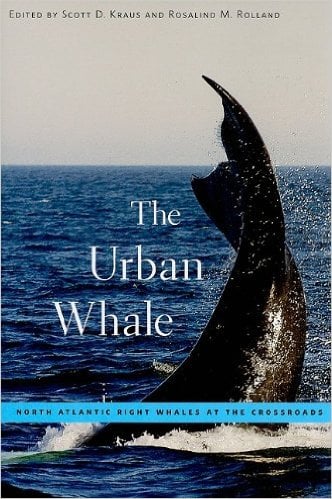 The Urban Whale Book