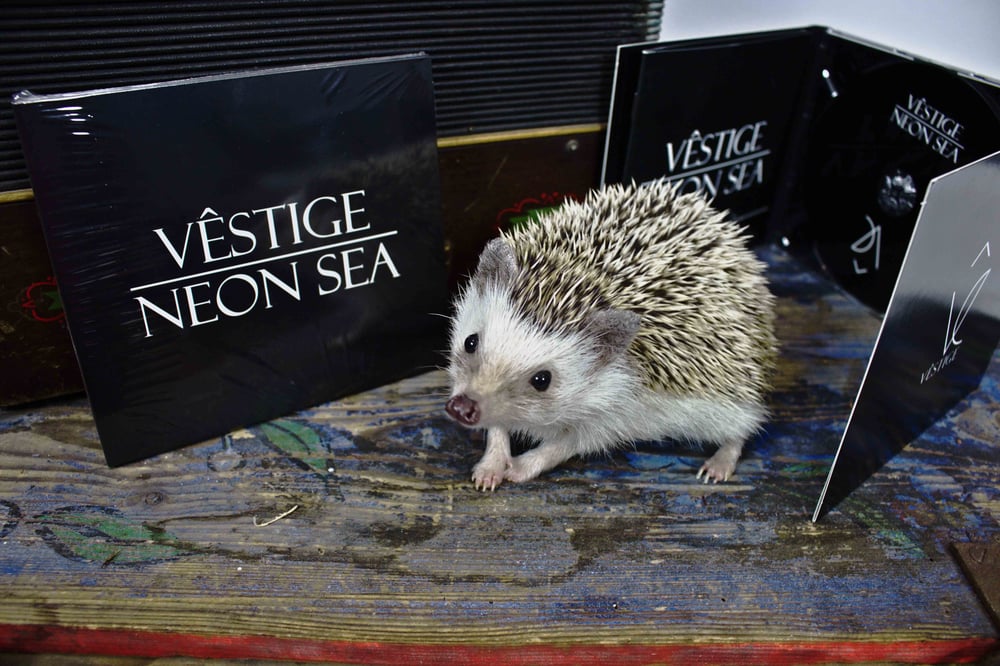 Image of Vêstige - Neon Sea (Album) CD