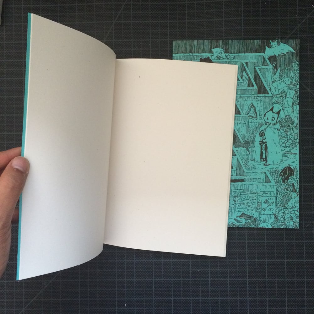 Image of Maze Blank Book