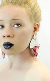 Classic design~Africa continent shape 3 inch hot pink polka dot earrings