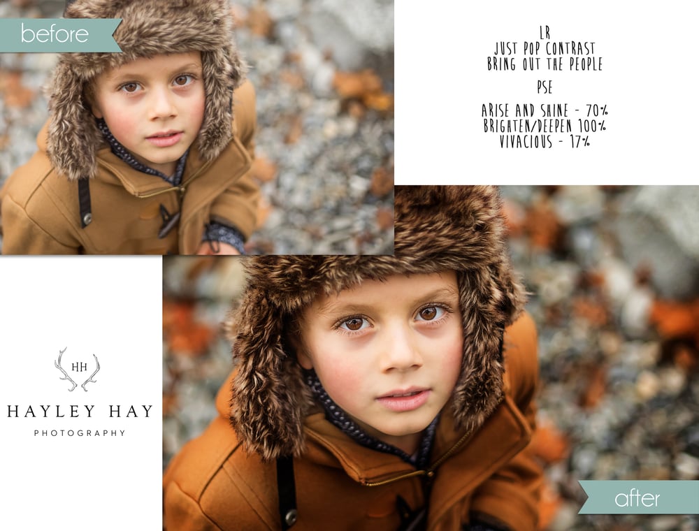 Image of The Ultimate Collection for PSE + Lightroom Users