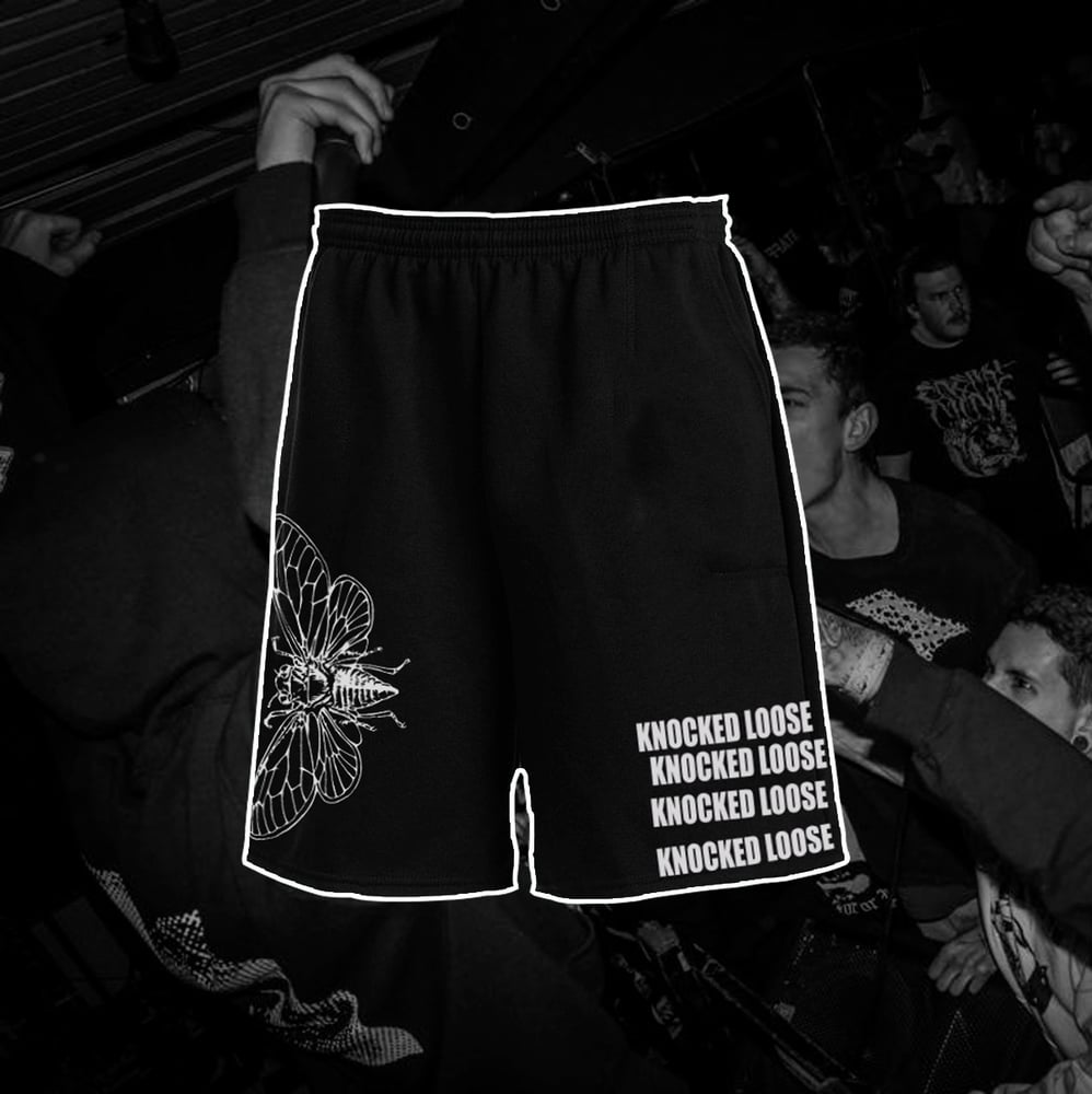 Image of Knocked Loose Shorts: Cicada