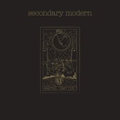 Image of Secondary Modern - Animal Chatter LP [2015]