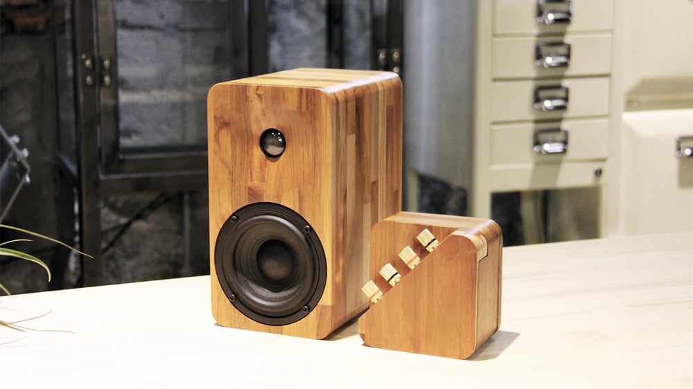 Image of Repop amplifier + 16passive speakers (a pair)