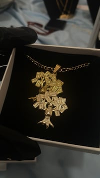 Image 1 of money tree set 💚