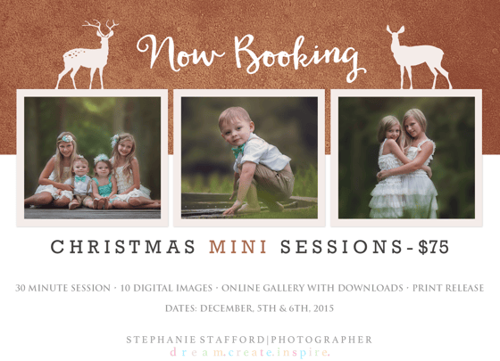 Image of Christmas Mini Sessions 