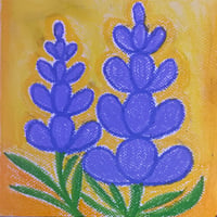Lavender