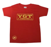 Image of YGT Arrows (Red & Gold)
