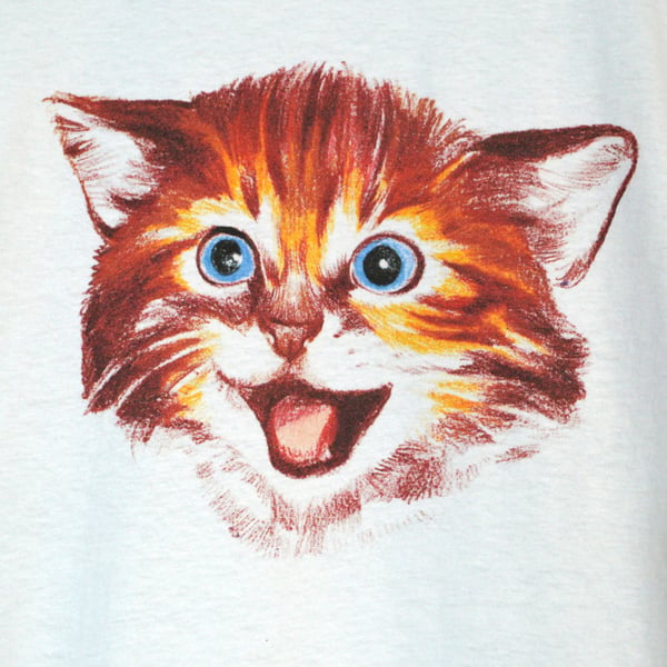 Image of The Happy Cat shirt - Aaron Martinez