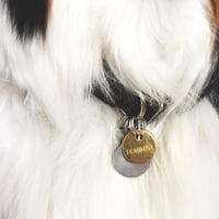 Image 1 of FEMINIST Brass Pet Tag