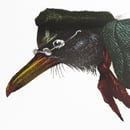 Image 2 of The Medical Student // The Grandville Series