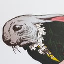 Image 2 of The Son // The Grandville Series