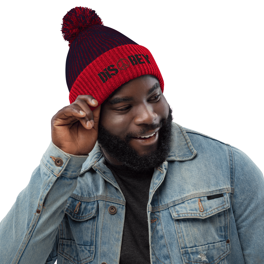EMBROIDERED POM-POM BEANIE