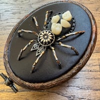 Image 1 of Toothy spider (2x2.5 inches)