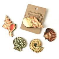 Seashell Wooden Brooch Pin 