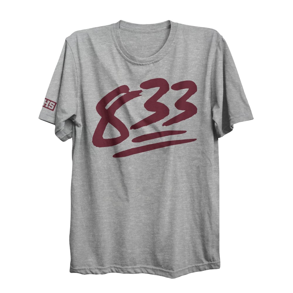Image of LHS 833 T-SHIRT (GREY)