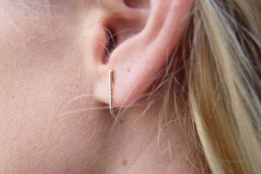 Image of Mini blade earrings