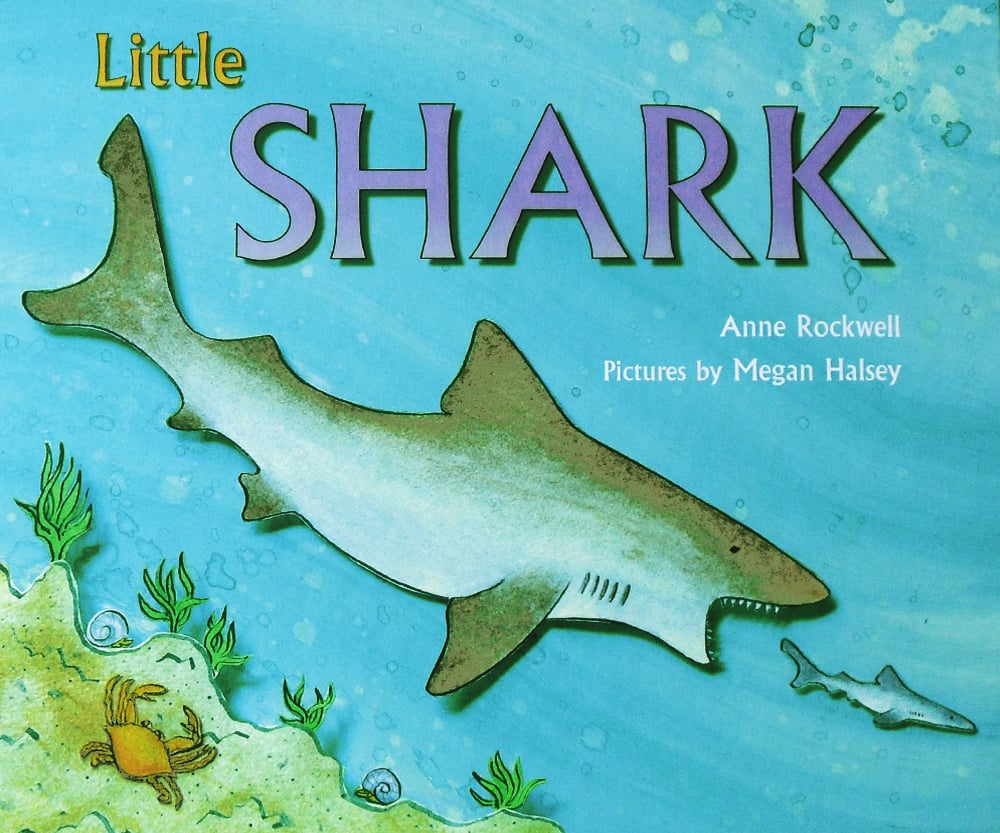 Image of Little Shark Book