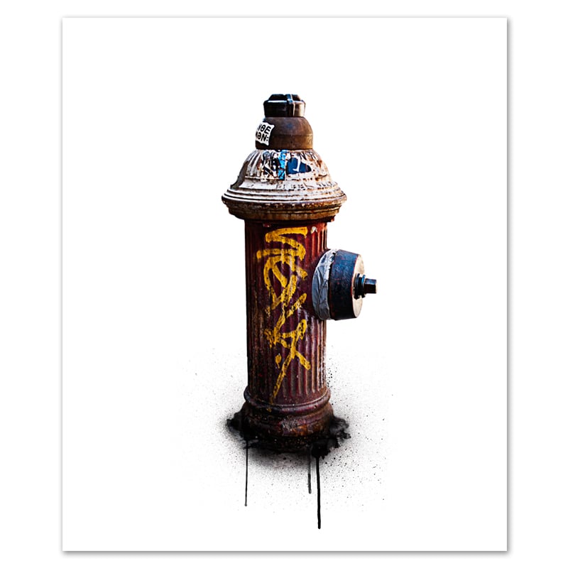 Image of Hydrant #1