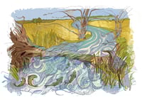 Image 1 of Bittern River